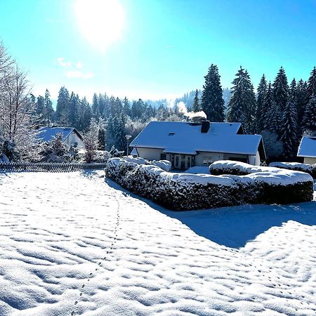 Michels Apartment Titisee-Neustadt Dış mekan fotoğraf