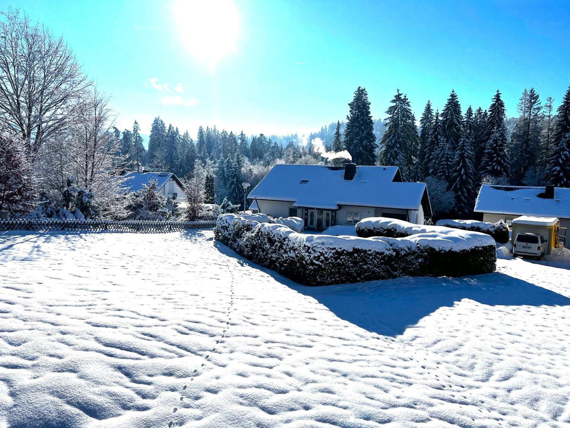 Michels Apartment Titisee-Neustadt Dış mekan fotoğraf